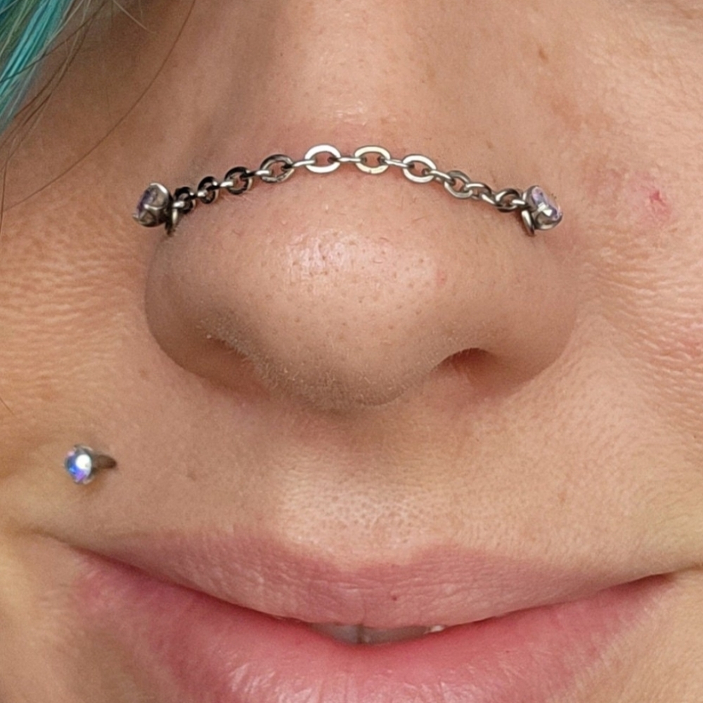 ⭐ NWT Handmade Goth Punk Silver Nose Chain for Nose Rings